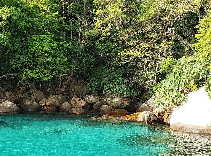 ESCUNA PARATY Kayak & Stand UP Incluso