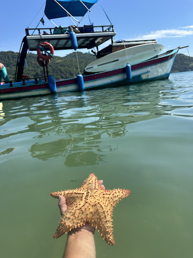 BARCO PRIVATIVO PARATY Stand Up & Churrasqueira 